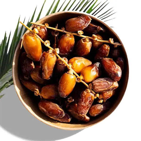 Datte-branchee-Branch-dates-Tunisia