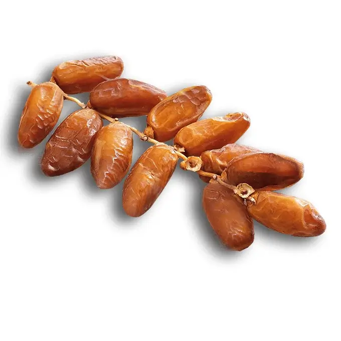 Deglet-Nour-tunisienne-en-branche